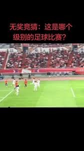 波黑队正式抵达洛杉矶球场备战世界杯